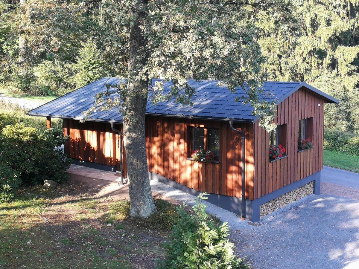 Haus Waldfrieden Apartment Altenberg Exterior photo