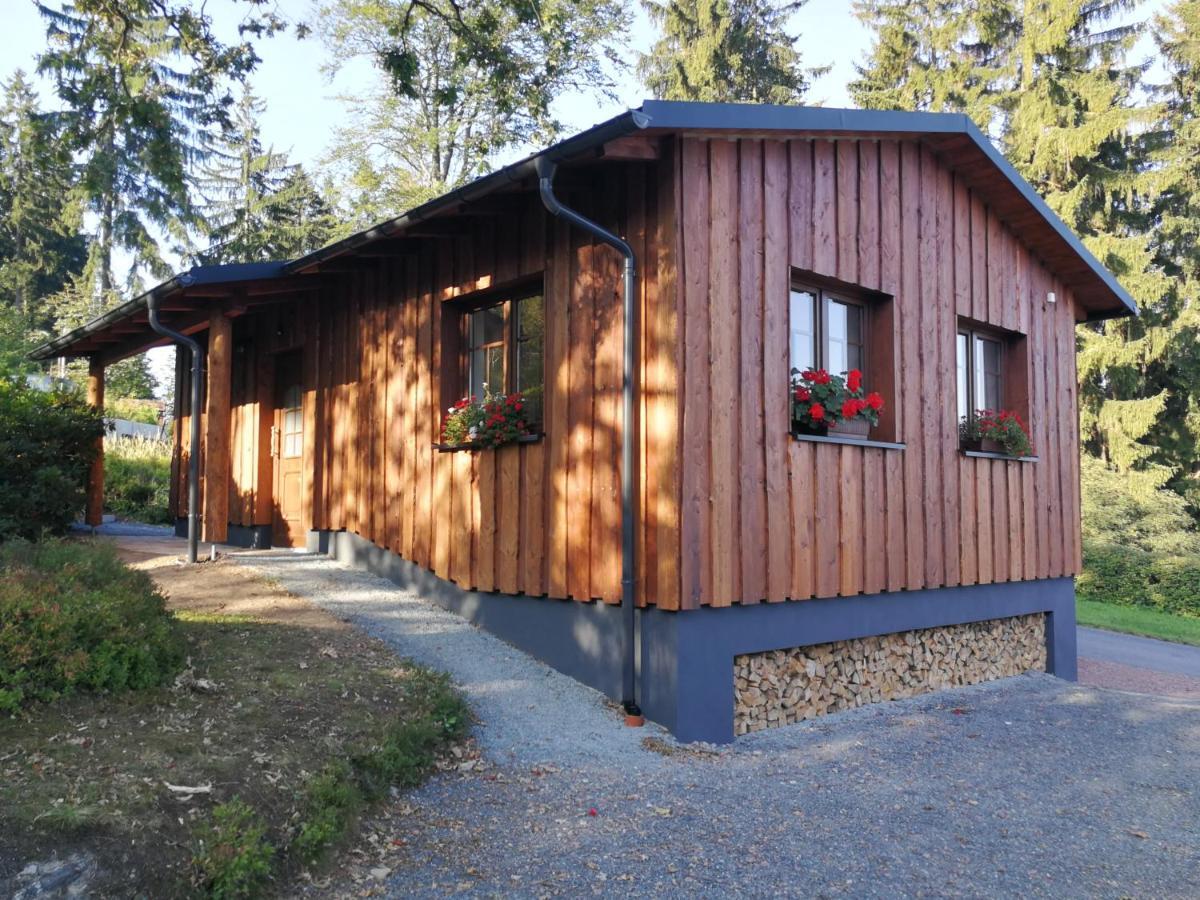 Haus Waldfrieden Apartment Altenberg Exterior photo