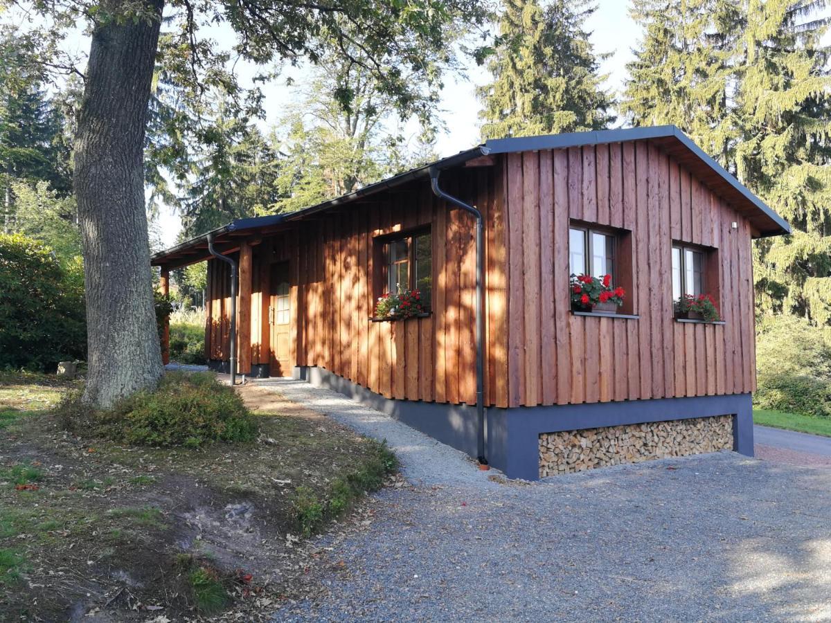 Haus Waldfrieden Apartment Altenberg Exterior photo